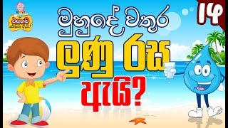 මුහුදේ වතුර ලුණු රස ඇයි? - Salt  | එහෙම වෙන්නෙ ඇයි..? | EP 14