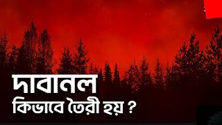 দাবানল কী এবং কেন হয়? পৃথিবীর ইতিহাসে সবচেয়ে ভয়ানক দাবানল কোনটি? Brilliant Minds