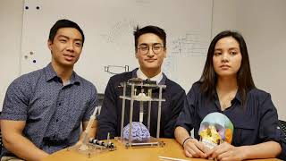 BME Team Spotlight Brainlander