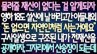 (반전 사연) 물려줄 재산이 없다는 걸 알게되자 영하 18도 설산에 날 버리고간 아들내외  구사일생으로 구조된 내가 전재산을 공개하자, 그자리에서 산송장이 되는데 /사이다사연