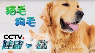 [健康之路] 久咳不愈莫小视 咳嗽变异性哮喘的隐蔽性 | CCTV科教