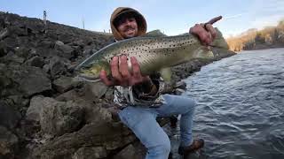 TROUT FREEDING FEENZY, CENTER HILL DAM