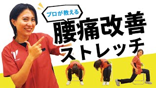 【座ったままできる】簡単!! 腰痛改善ストレッチ