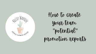 How To Create Your Scentsy Team's Promotion Reports