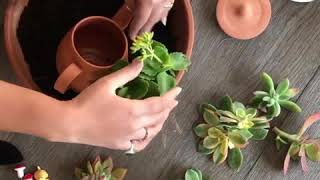 How to build a plant tray in less than 10 minutes