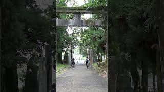 通学路　朝倉神社の参道　#shorts