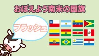 [世界の国旗]　南米の国旗　フラッシュカード