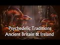 Plant Medicine and the Otherworld in Britain & Ireland, Exposing the Lost Truth