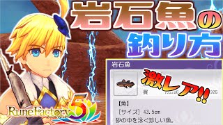 砂の中を泳ぐレア魚『岩石魚』の釣り方【ルーンファクトリー5】【ルンファク5】Rune Factory5