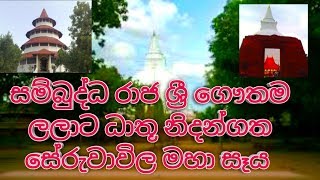 seruwavila mha seya|සම්බුද්ධ රාජ ශ්‍රී ගෞතම ලලාට ධාතූ