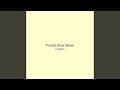 Forest Glow Silver
