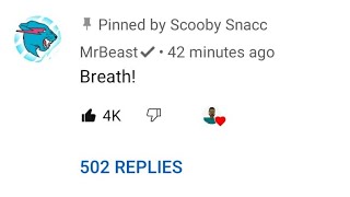 I Will Not Breathe Until Mrbeast Comments