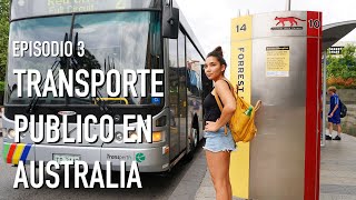 TRANSPORTE PUBLICO en Australia - PERTH (Serie - Australia para principiantes - Episodio 3)