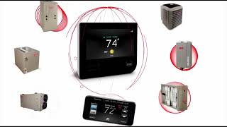 Evolution Connex Control Thermostat