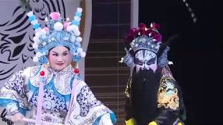 Taiwanese Opera 唐美雲歌仔戲