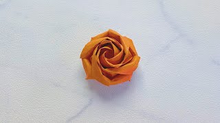 71. Origami Phu Trans Rose 折纸欧美玫瑰/PT玫瑰