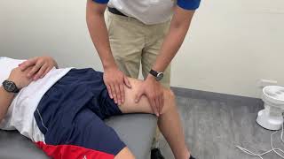 Palpation of adductor muscles（內收肌觸診）