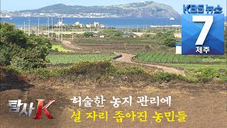 [7시뉴스제주/탐사K] 허술한 농지 관리에 설 자리 좁아진 농민들 / KBS 2021.05.27.