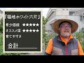 家庭菜園や農園栽培で2023年9月オススメ植えどき野菜ランキングbest５！秋冬野菜の栽培も開始！おすすめ野菜の育て方を徹底解説！【農園ライフ】