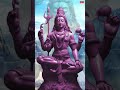 shiva shivalingam nanjundeshwara lordshiva shivasong godshiva ytshorts trending shorts