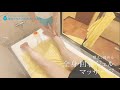 洗体アカスリcm動画