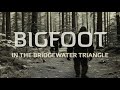 Bigfoot in the Bridgewater Triangle (2024 Bigfoot Documentary)