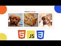 Image Slider In HTML,CSS And Javascript
