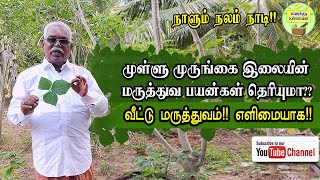 முள்ளு முருங்கை இலையில எவ்வளவு மருத்துவ பயன்கள் இருக்கு தெரியுமா ?| Health CareTips | Home Remidies