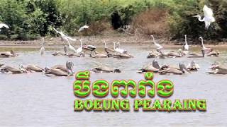 បឹងពារាំង ខេត្តសៀមរាប Boeung Pearaing​ - Siem Reap