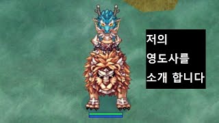 라그나로크 영도사 스탯 스킬 셋팅 공개