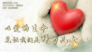 《以爱的生命见证我们是神的儿女》29.12.2024  圣诞节后第一主日