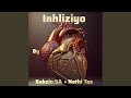 Inhliziyo