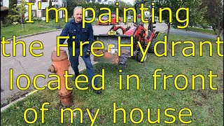 I’m painting the Fire Hydrant located in front of my house
