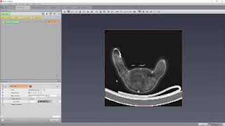 Amira-Avizo Tutorial: How to Load 3D Image Data (File Formats, Slices & Raw Data)
