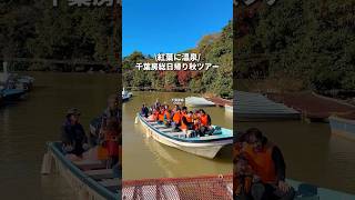 秋の千葉房総日帰りツアー！紅葉\u0026温泉#千葉旅行 #千葉観光