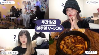 [VLOG]주간달리 일주일 브이-로그/무쌍 겟레디윗미/음주로그/조이서 가발 자르기/DALLI 달리