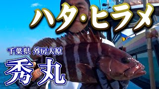 秀丸・千葉県大原港・ハタ＆ヒラメ【釣りビジョン マガジン】