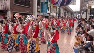 ほにや2～2017高知よさこい祭り本祭(帯屋筋)