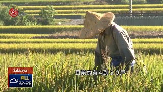 玉里鎮馬卡道族近50戶 原轉會委員前往訪視 2019-06-26 Sakizaya IPCF-TITV 原文會 原視族語新聞