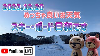 【🐻ラジG】2023.12.20/今朝は快晴/絶好のスキー日和で☀️☀️☀️