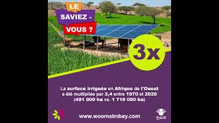 Woomal Mbay : Le Saviez-Vous ? : 3x La surface irriguée a été multipliée par 3,4 depuis 1970