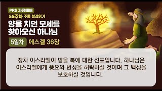 PRS가정예배_55주차_주중 성경읽기 5일차