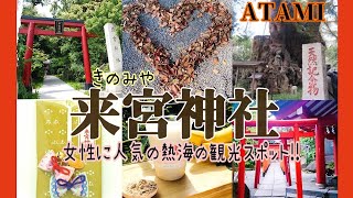 【来宮神社】寿命が伸びる樹齢2000年の大楠?!💖縁結び効果が凄い?!👩女性に人気のフォトスポットいっぱいの話題の熱海の観光スポット【熱海駅】ATAMI Kinomiya-jinja Shrine