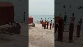 rameshwaram|ராமேஸ்வரம் கடற்கரை!!