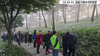 정읍 구절초 축제(24.10.13)