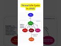 Thread Life Cycle in JAVA