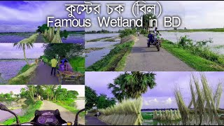 কুস্টের চকের (বিল) নৈসর্গিক সৌন্দর্য | Kuster Choke (Beel) Famous wetland in Bangladesh