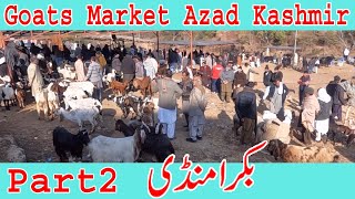 Beetal Goats Rajanpuri Goats Bakra mandi dongi kotli mirpur azad kashmir | Bakra mandi Ajk Pakistan