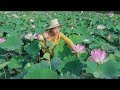 Cooking Lotus Dessert Recipes and Crispy Lotus Flowers In my Homeland