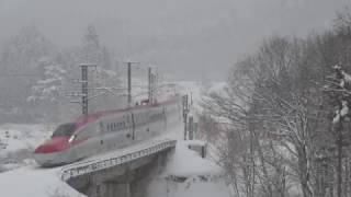 雪の秋田新幹線こまち、走行シーン\u0026盛岡駅入線発車